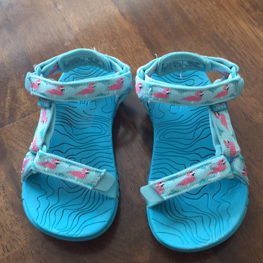 Flamingo teva